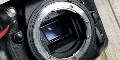 Makroda Sensör Dinamikleri : Full frame şart mı? Aps-c ve Mft ne getirir ne götürür?